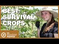 Best Crops to Grow in a Survival Garden