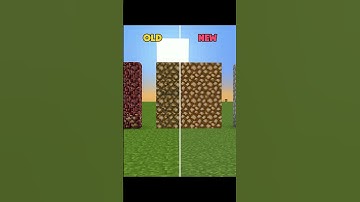 Minecraft Old or New Nostalgia Moment