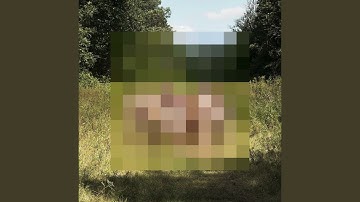 Thumbnail of N 43° 33' 55.676" W 72° 45' 11.914"