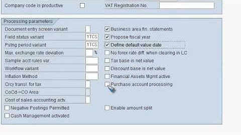 SAP FICO VIDEO TRAINING TUTORIALS 0020 ENTER GLOBAL PARAMETERS   BAYISETTI