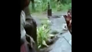 Asik Banget Goyang Hot patah-patah dari kakek Legend... Goyangnya Minta Ampun Dah°—°