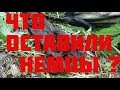 Блиндаж, разорванный немец, Безымянный солдат и куча опасных находок! // Юрий Гагарин
