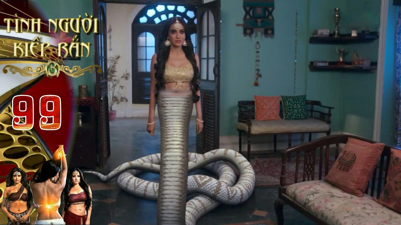 Tình Người Kiếp Rắn P3 | Tập 99 |Full |Shavani (Bella) Lộ Diện Thân Phận Trước Mặt Cha Mẹ Của Mình |