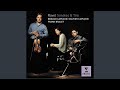 Miniature de la vidéo de la chanson Piano Trio In A Minor: Iii. Passacaille