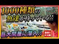 【驚愕の品種数に驚き...!!】1000種類の観賞魚がひしめく巨大問屋を裏側大公開！