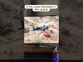 Seen this on TikTok and just had to do this
