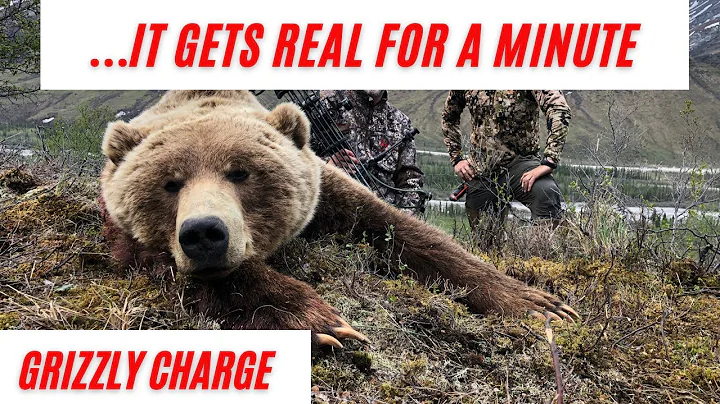 GRIZZLY CHARGE! | ALASKA GRIZZLY HUNT