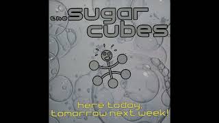 The Sugarcubes - Cold Sweat - 432Hz  HD  (lyrics in description)