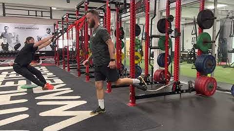 Reflexive Eccentric RFE Split Squat