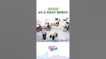 엄마!! 우리 집 파김치가 별로래!! #아이유 #IU #아이유의팔레트 #아이유네파김치 #도경수