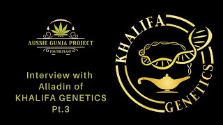 AGP: Interview with ALLADIN of KHALIFA GENETICS Pt.3