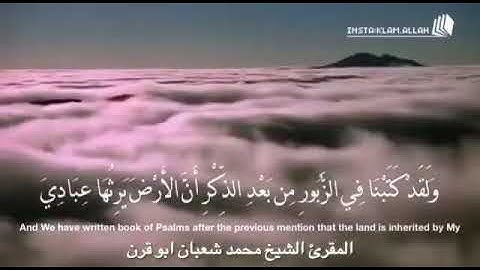 سورة الأنبياء الشيخ محمد شعبان أبو قرن #محمد_شعبان_أبوقرن 