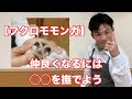 【フクロモモンガ】なつく方法・ベタ慣れにする撫で方