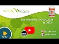 37  les vitamines liposolubles adek