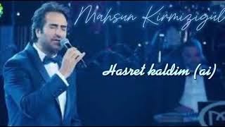 Mahsun Kirmizigül - Hasret Kaldim (ai) Resimi