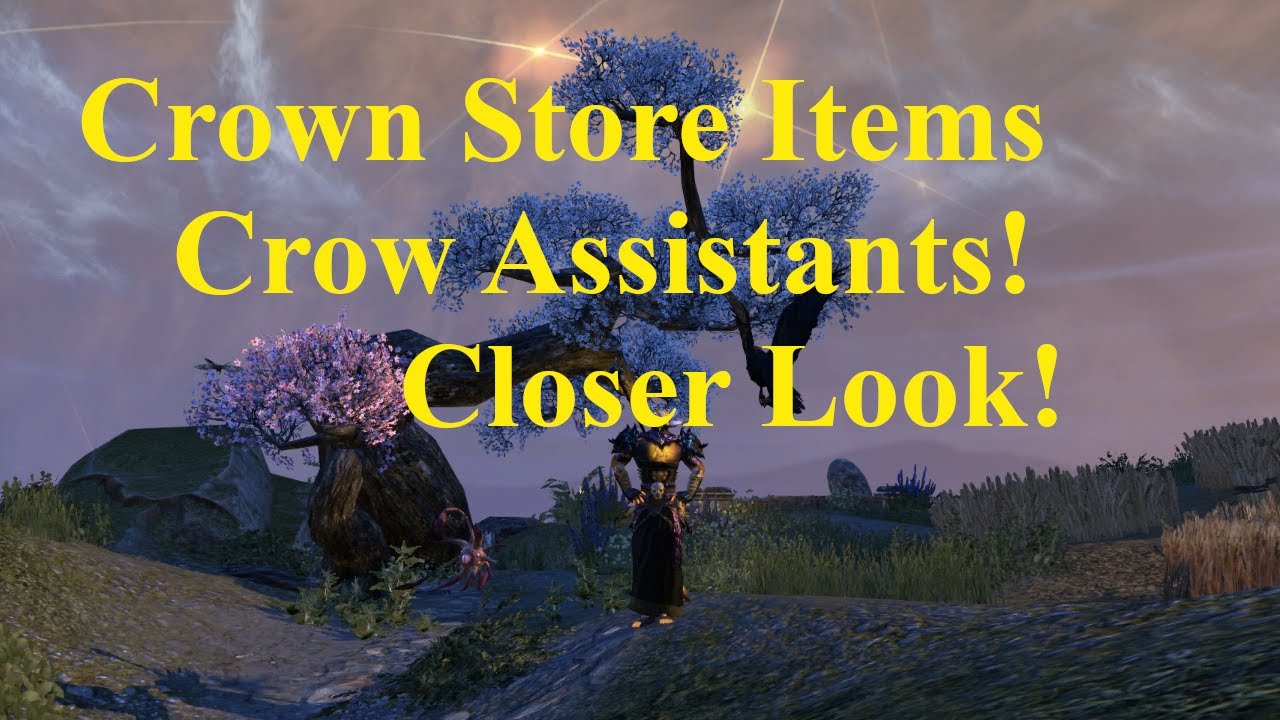 ESO Crown Store Items! Crow Assistants! Closer Look! YouTube