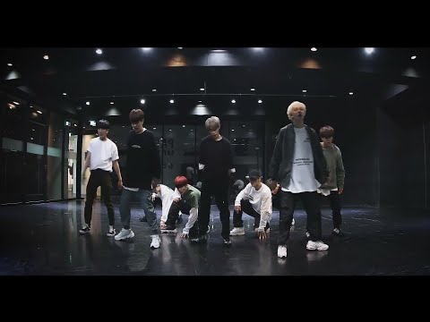 [Stray Kids - MIROH] dance practice mirrored