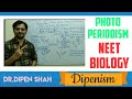 PHOTOPERIODISM || SDP LDP DNP | Plant Growth Development Class 11 CBSE #Biology #NEET #Dipenism