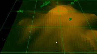 DirectX Darwinia Boids
