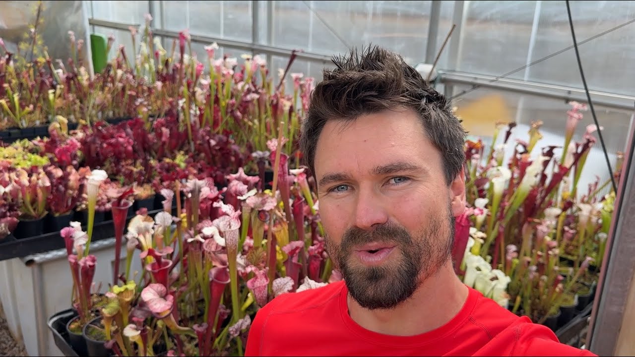 2025 Big Carnivorous Plant Greenhouse Tour Part 2 | Epic 34-Min Dive into Jeremiah’s Jungle!