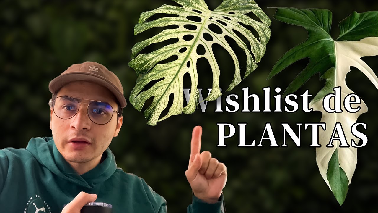 WISHLIST PLANTAS 2026 | PLANTAS EXOTICAS