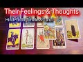 Hindiurdu  quick energy update  their feelings  thoughts  timeless tarot 