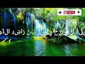 The Main Themes of Surah Al-Ghashiyah | Beautiful Quran Recitation by Sheikh Yasser Al-Dosari 🌿