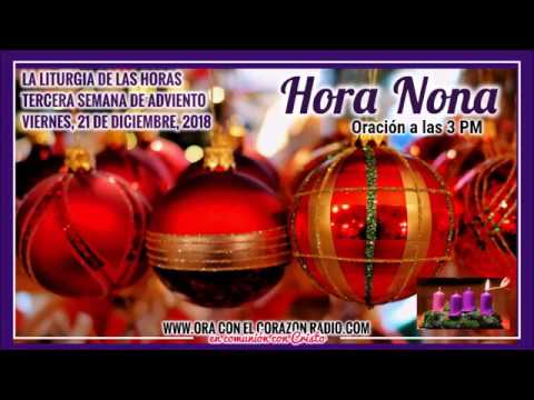 HORA NONA -ORACION A LAS 3 PM – VIERNES 21 DE DICIEMBRE, 2018 3ª SEMANA DE ADVIENTO agradecimiento frases