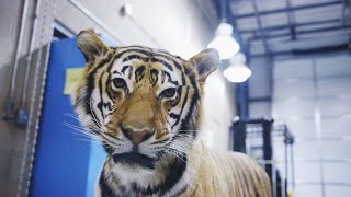 The Wildlife Warehouse: Where the U.S. Government Sends Illegal Animal Goods