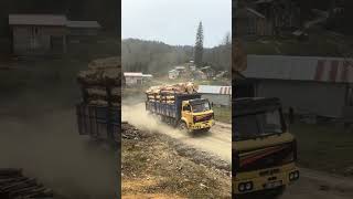 BMC Fatih Dağda Kükrüyorr ❤️‍🔥💯 #bmc #fatih #kamyon #orman