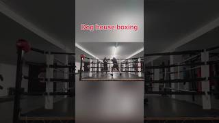 Boxing training for my up and coming boxing match