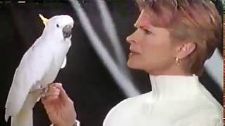 Sprint Canada - Parrot 1997