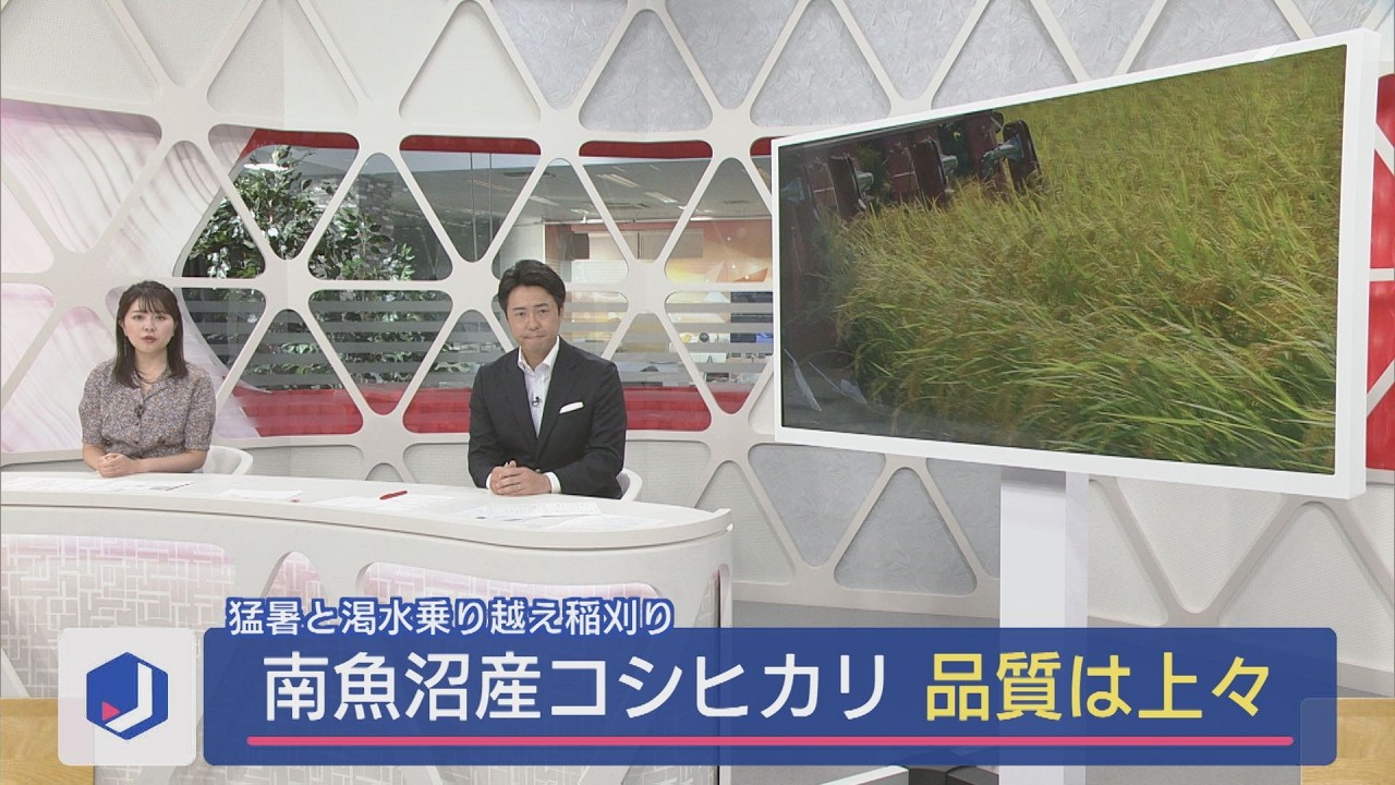 Minamiuonuma City's Koshihikari rice 
