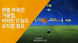 햇볕 부족한 겨울철, 비타민 D 농도 유지법 필요 - (20121222_441회 방송)_겨울철 여성 건강주의보 - 2편 비타민D 결핍