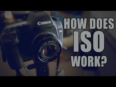 Video: ISO In The Camera (18 Photos): What Is It, How To Choose And Adjust The Sensitivity?