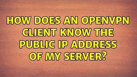 Ubuntu: How does an OpenVPN client know the public IP address of my server?