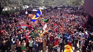 HARLEM SHAKE GATOR EDITION
