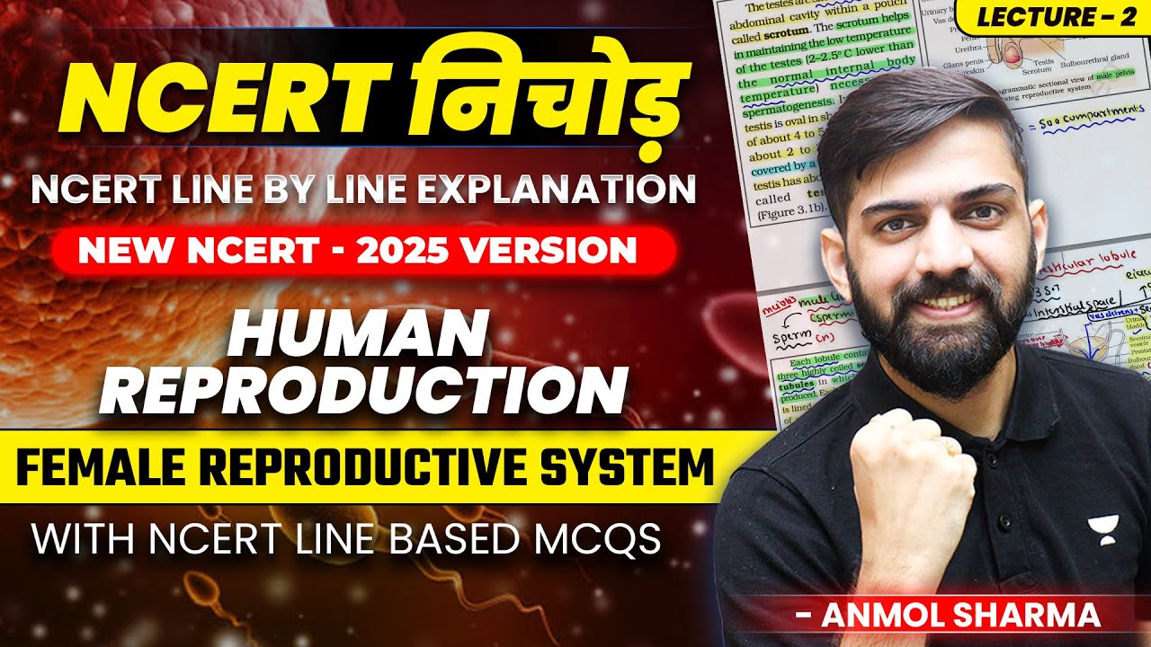 NEET 2025 Biology: NCERT निचोड़ Human Reproduction | NCERT Line by Line ...