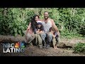 Living Off The Land: How These Puerto Rican Farmers Survived The Storm | NBC Latino | NBC News