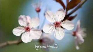 Download Lagu ATMOSFERA - BEBU SILVETTI MP3 Download Lagu ATMOSFERA - BEBU SILVETTI MP3