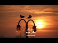 يارب م ن برحمة مناجاة 