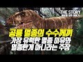 공룡이 멸종한 이유, 그리고 멸종한게 아니라는 주장 (공룡 다큐멘터리/더스토리/공룡멸종설)