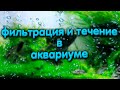 Фильтрация и течение в аквариуме. Мощность аквариумного фильтра.