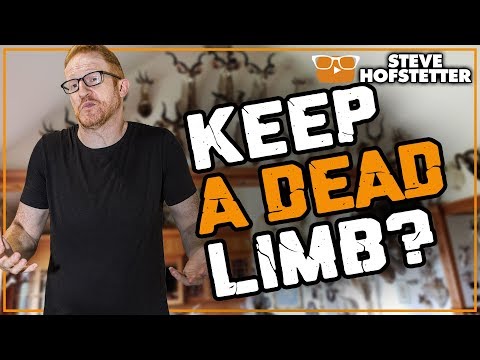 Wheelchair Guy Cracks Back During Show - Steve Hofstetter