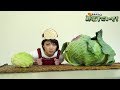 日本一大きなキャベツを千切りしてみた　「森結有花の野菜すごいぜ！～札幌大球編」