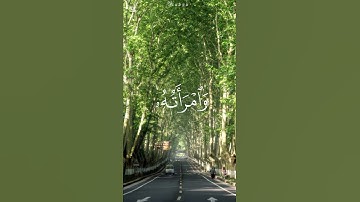 #القرآن_الكريم #الشيخ_محمد_اللحيدان #سورة_المسد