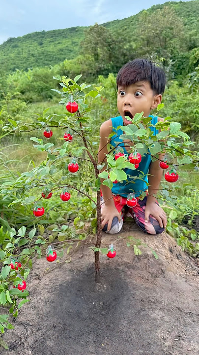 Survival Skills: SMART ideas and USEFUL with single mom #bushcraft #camping #outdoors