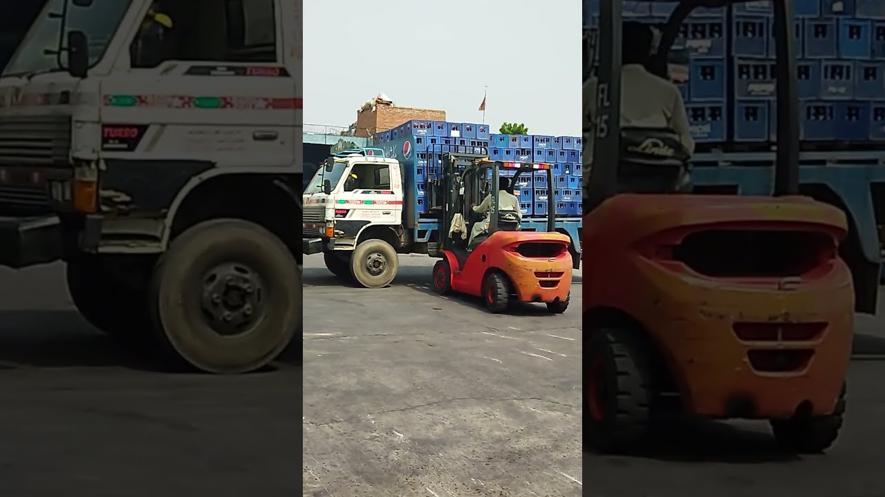 Certified Forklift Driver Shorts