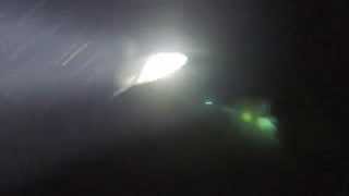 Night Dive, Shark at Reis Magos, Madeira - August 2014