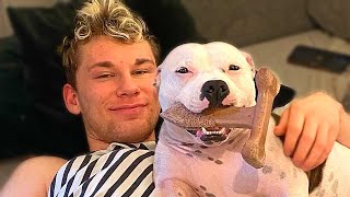 White Staffy is Convinced His Uncle is a Dog | Cuddle Buddies